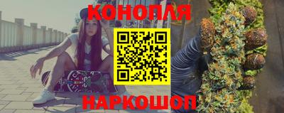 индика Вышний Волочёк
