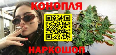 индика Вышний Волочёк