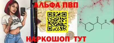 индика Вышний Волочёк