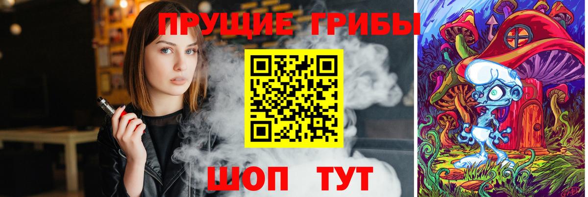 Псилоцибиновые грибы Psilocybe Дивногорск